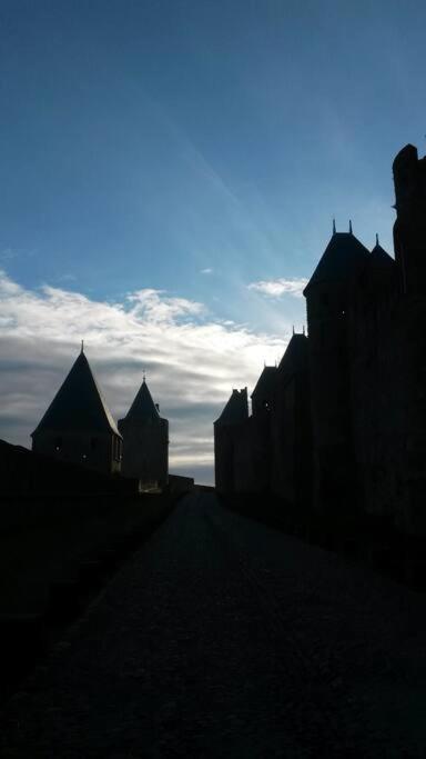 Petit Loft Cosy Apartman Carcassone Kültér fotó